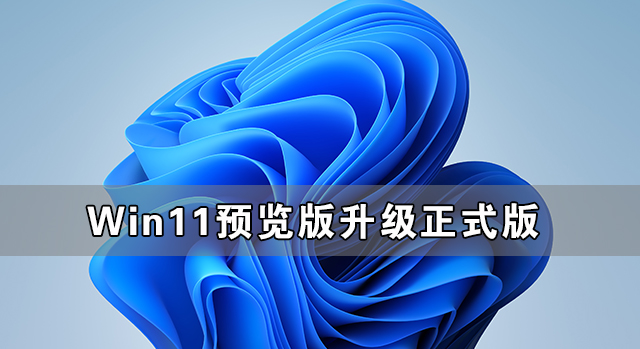 Win11预览版怎么升级正式版 Win11预览版升级正式版教程