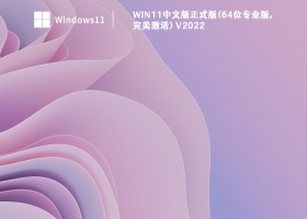 Win11中文版正式版(64位专业版,完美激活) V2022