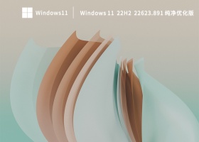 Windows 11 22H2 22623.891纯净优化版 V2022