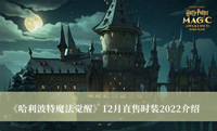 《哈利波特魔法觉醒》12月直售时装2022介绍