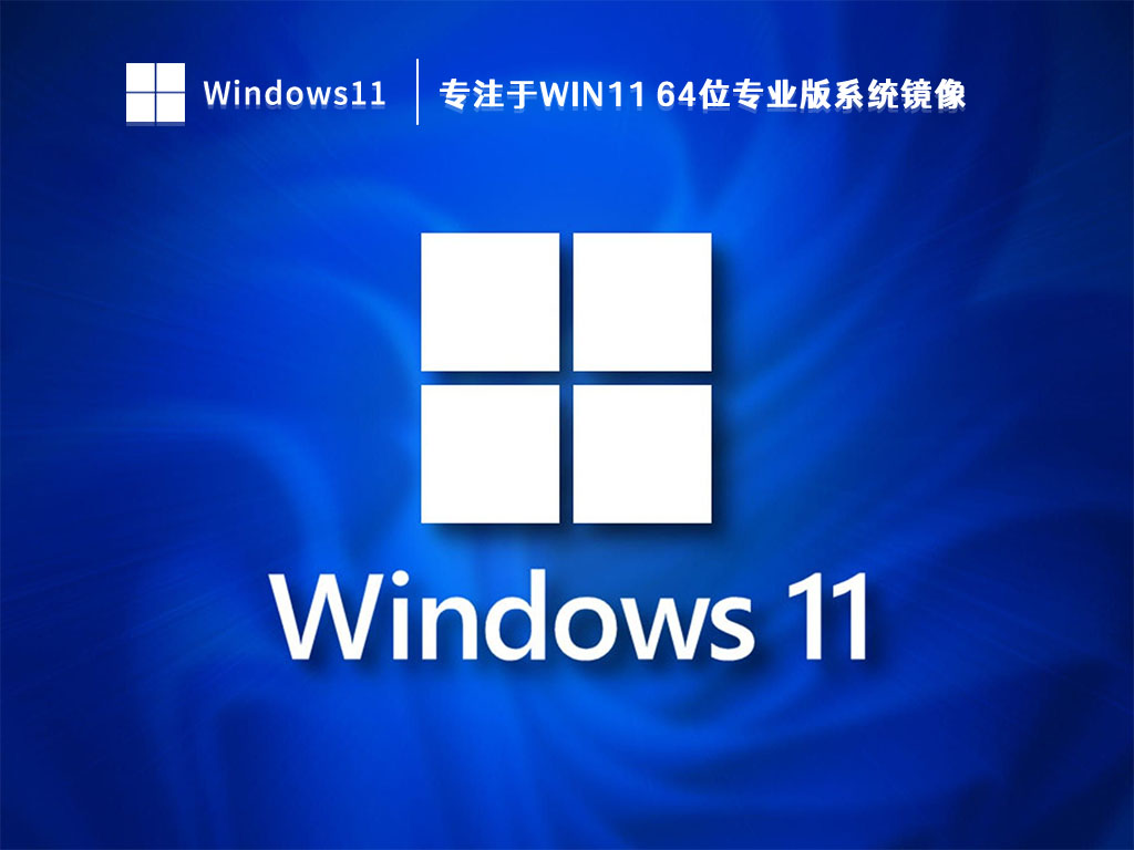 专注于Win11 64位专业版系统镜像 V2023