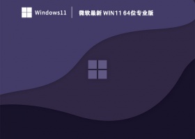 微软最新 Win11 64位专业版 V2023