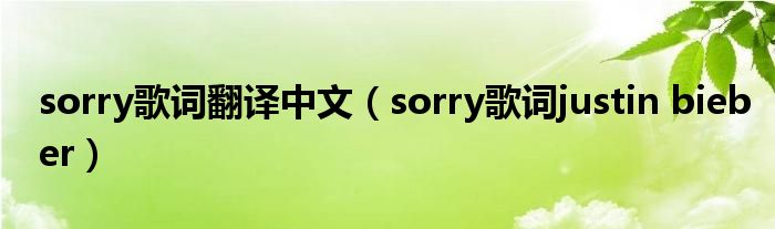 sorry歌词翻译中文（sorry歌词justin bieber）