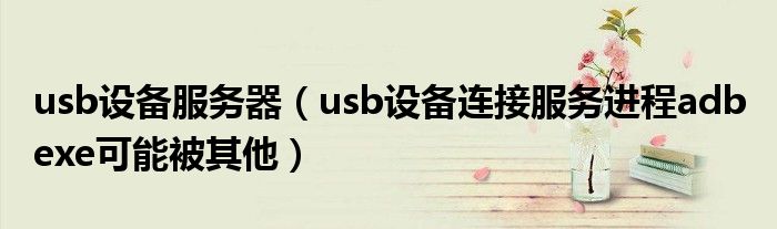 usb设备服务器（usb设备连接服务进程adb exe可能被其他）