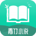 青竹小说 v21.2.10